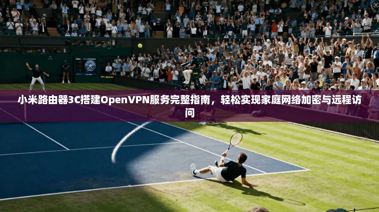 小米路由器3C搭建OpenVPN服务完整指南,轻松实现家庭网络加密与远程访问 小米路由器3C搭建OpenVPN服务完整指南,轻松实现家庭网络加密与远程访问