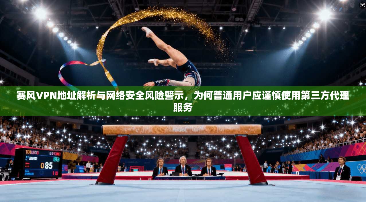 赛风VPN地址解析与网络安全风险警示，为何普通用户应谨慎使用第三方代理服务