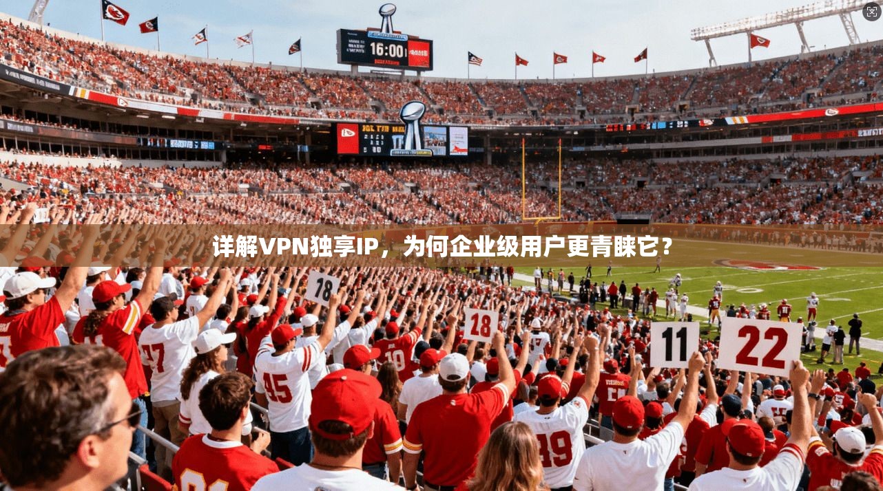 详解VPN独享IP，为何企业级用户更青睐它？
