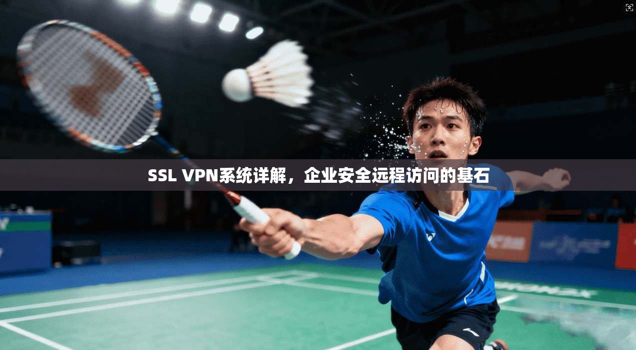 SSL VPN系统详解，企业安全远程访问的基石