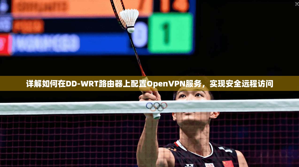 详解如何在DD-WRT路由器上配置OpenVPN服务，实现安全远程访问
