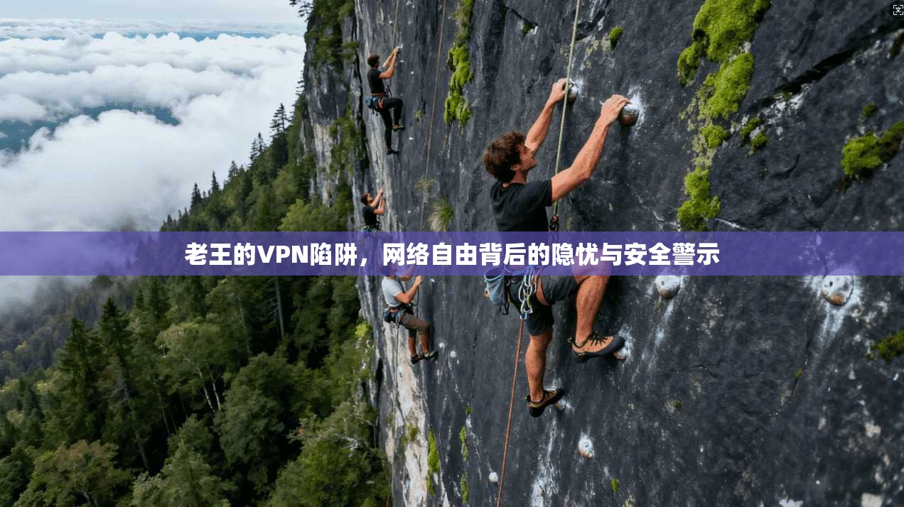 老王的VPN陷阱，网络自由背后的隐忧与安全警示