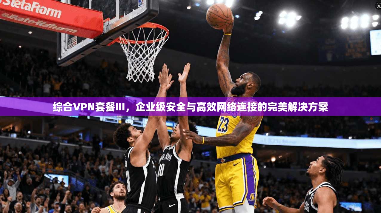 综合VPN套餐III，企业级安全与高效网络连接的完美解决方案
