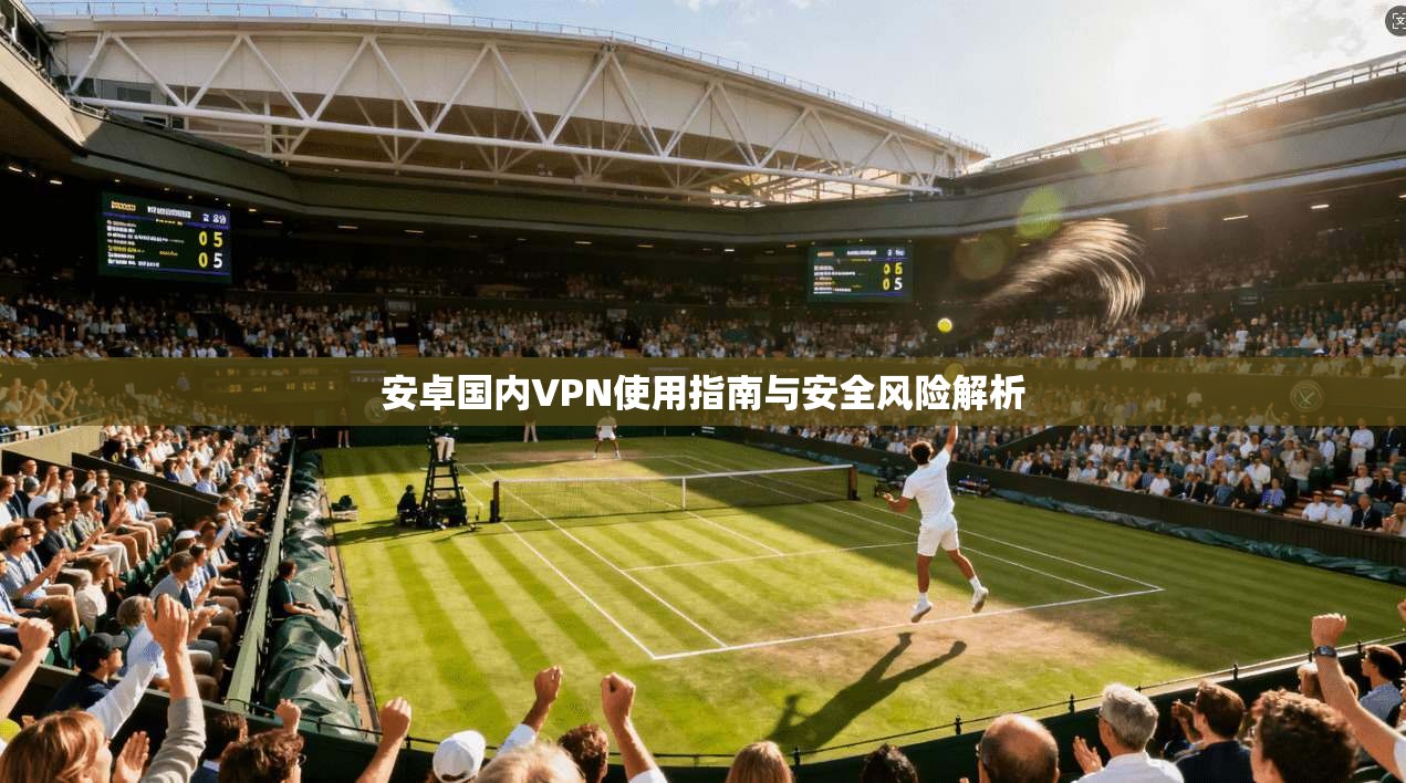 安卓国内VPN使用指南与安全风险解析