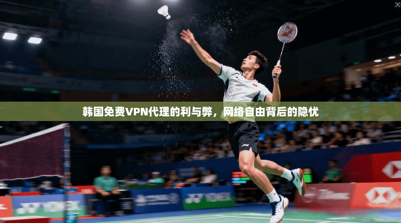 韩国免费VPN代理的利与弊，网络自由背后的隐忧