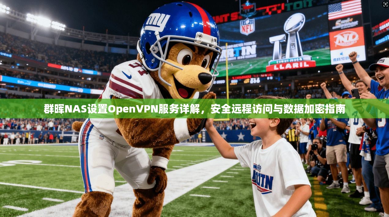 群晖NAS设置OpenVPN服务详解，安全远程访问与数据加密指南