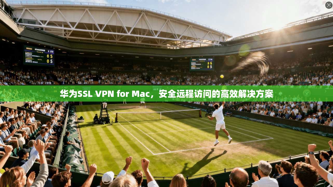 华为SSL VPN for Mac，安全远程访问的高效解决方案