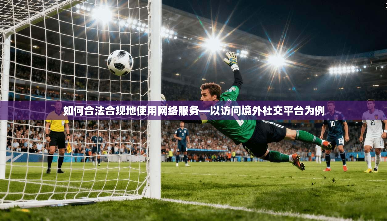 如何合法合规地使用网络服务—以访问境外社交平台为例 如何合法合规地使用网络服务—以访问境外社交平台为例