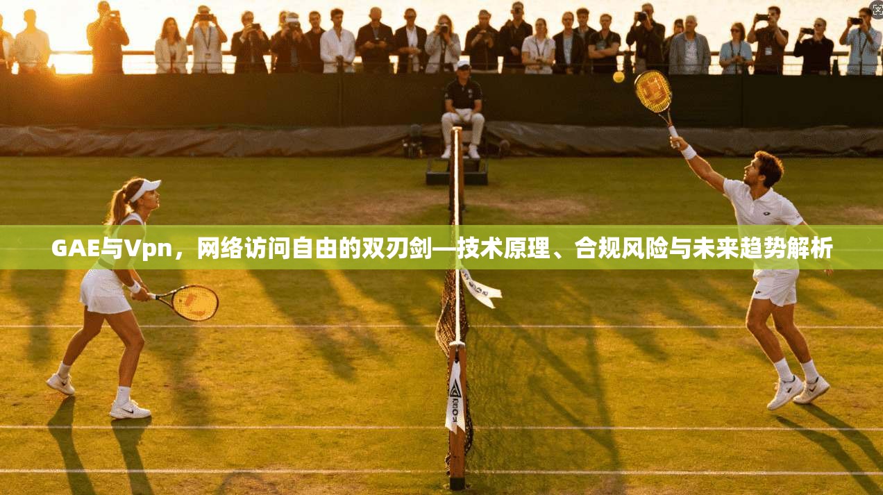 GAE与Vpn，网络访问自由的双刃剑—技术原理、合规风险与未来趋势解析