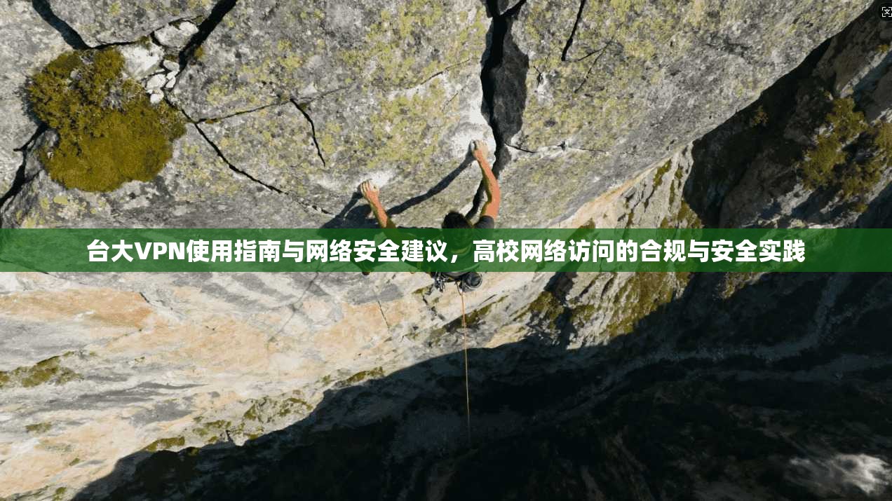 台大VPN使用指南与网络安全建议，高校网络访问的合规与安全实践