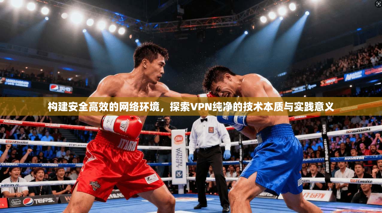 构建安全高效的网络环境，探索VPN纯净的技术本质与实践意义