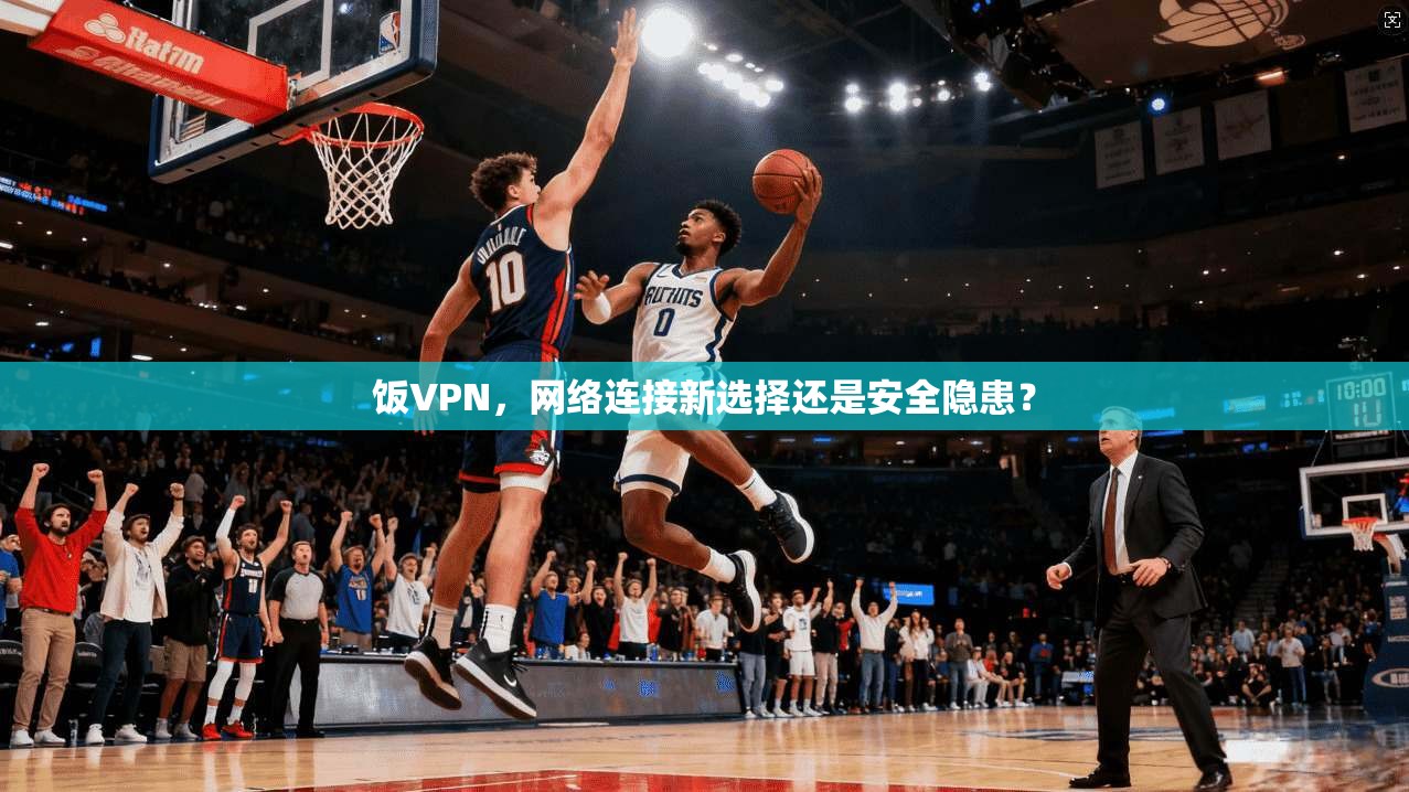饭VPN，网络连接新选择还是安全隐患？