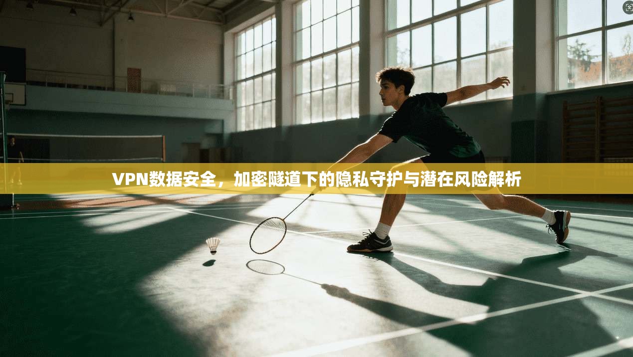 VPN数据安全，加密隧道下的隐私守护与潜在风险解析