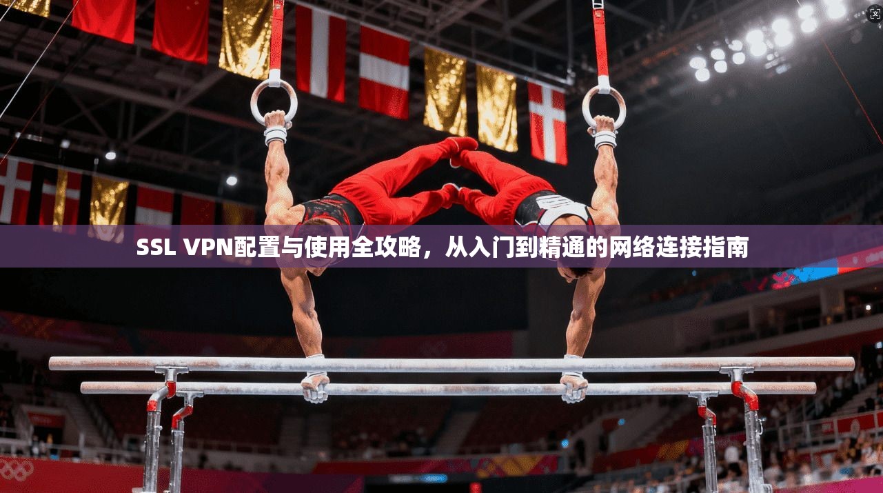 SSL VPN配置与使用全攻略，从入门到精通的网络连接指南
