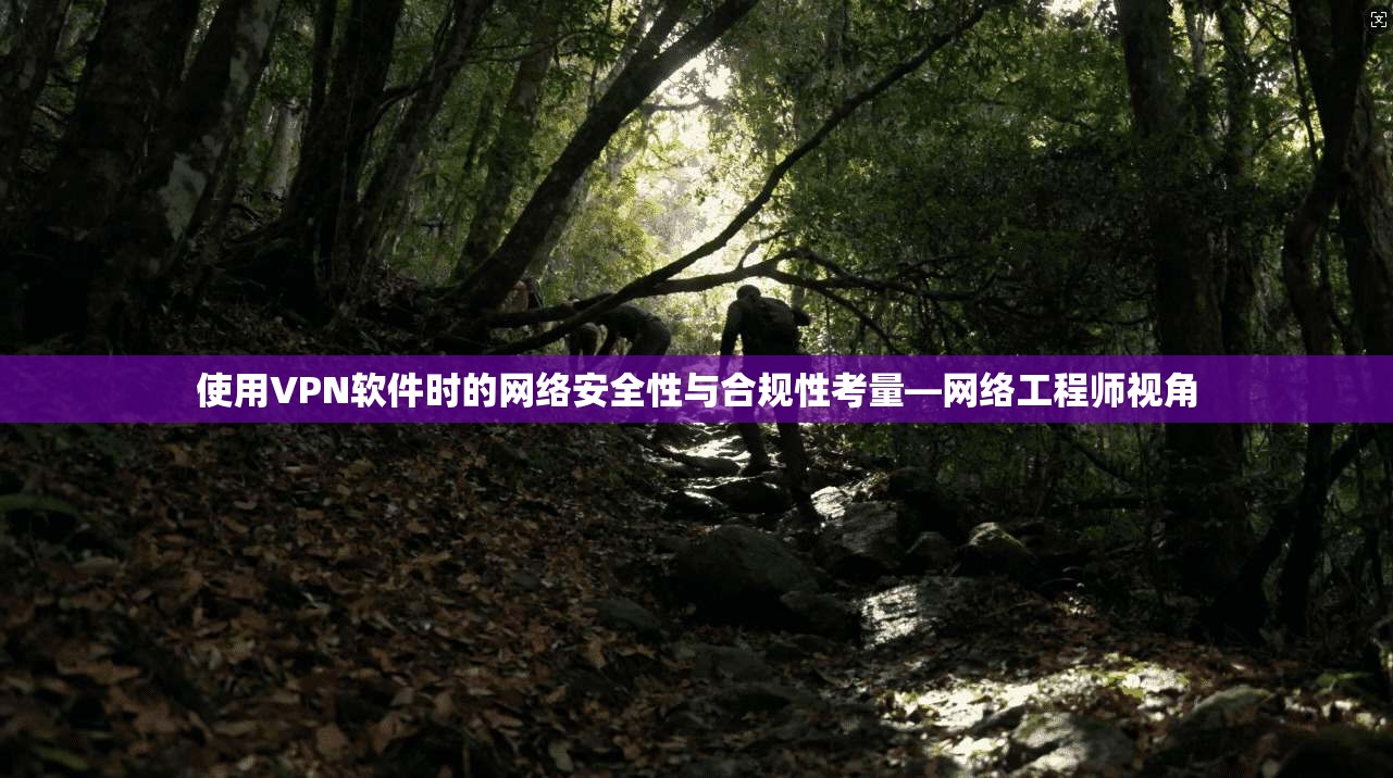 使用VPN软件时的网络安全性与合规性考量—网络工程师视角