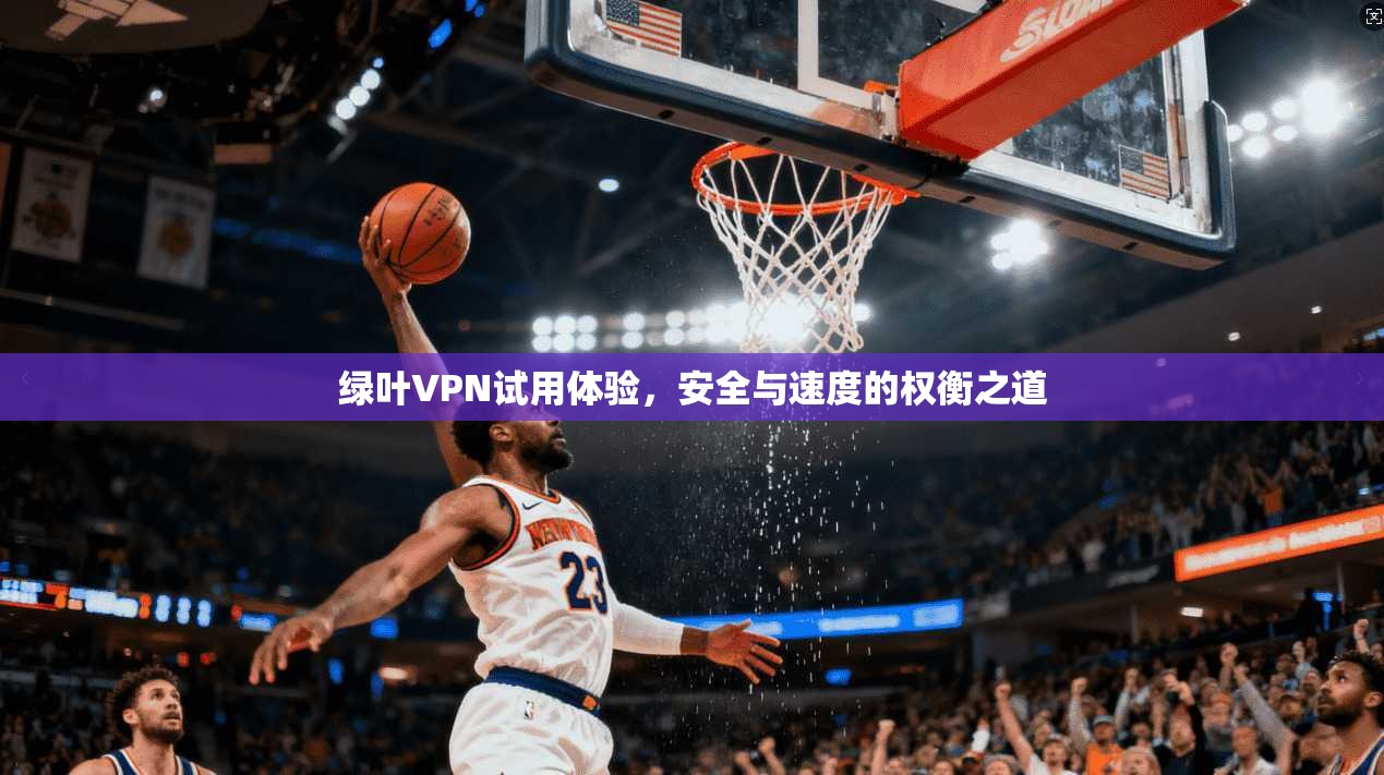 绿叶VPN试用体验，安全与速度的权衡之道