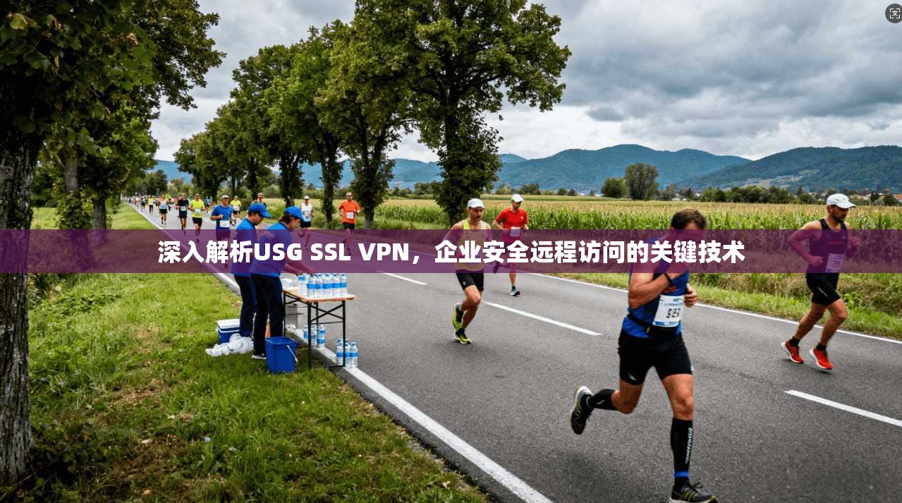 深入解析USG SSL VPN，企业安全远程访问的关键技术