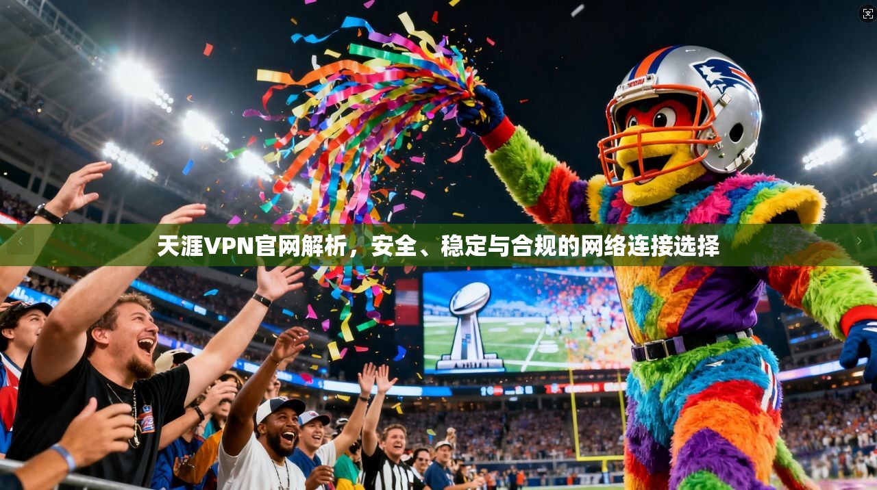 天涯VPN官网解析,安全、稳定与合规的网络连接选择 天涯VPN官网解析,安全、稳定与合规的网络连接选择