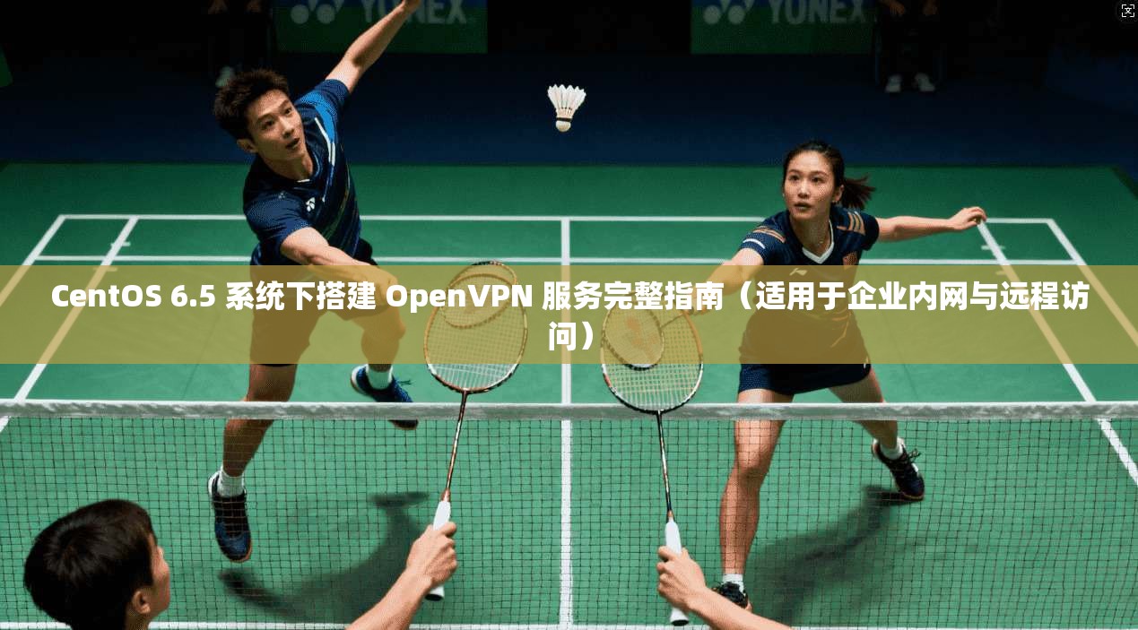 CentOS 6.5 系统下搭建 OpenVPN 服务完整指南（适用于企业内网与远程访问）