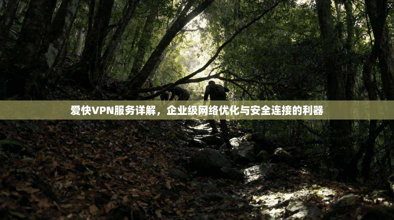 爱快VPN服务详解，企业级网络优化与安全连接的利器