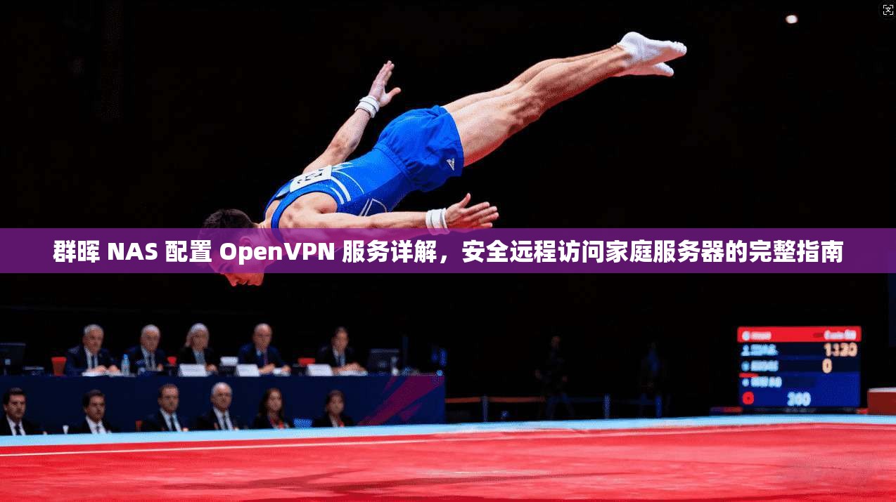 群晖 NAS 配置 OpenVPN 服务详解，安全远程访问家庭服务器的完整指南