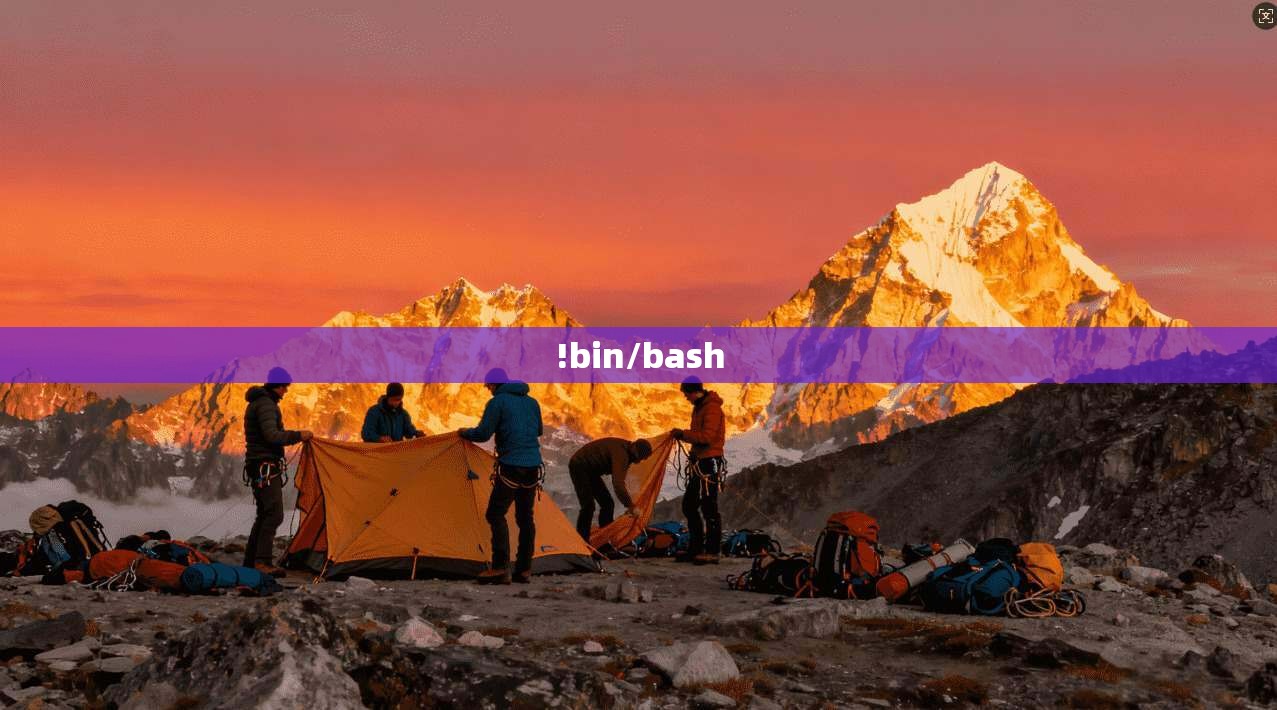 !bin/bash