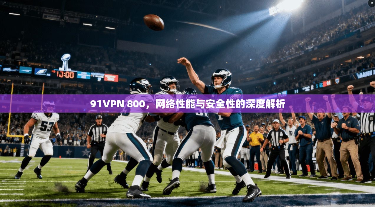 91VPN 800，网络性能与安全性的深度解析