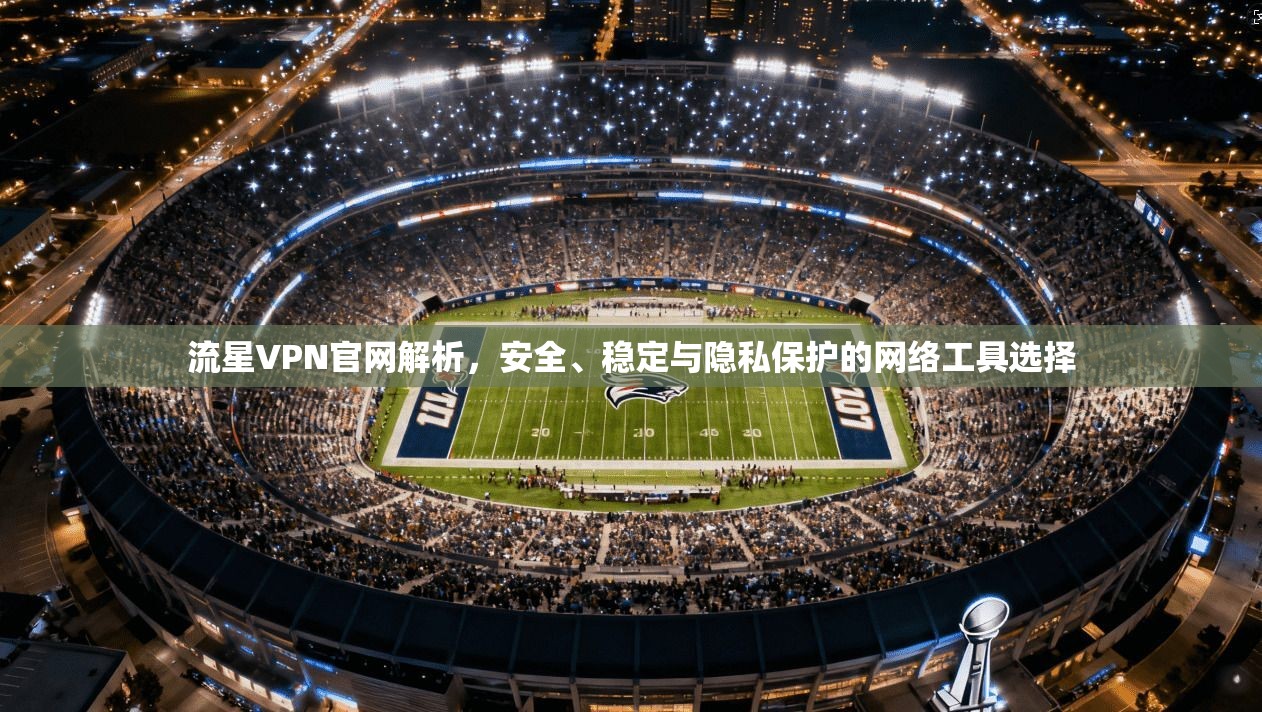 流星VPN官网解析，安全、稳定与隐私保护的网络工具选择