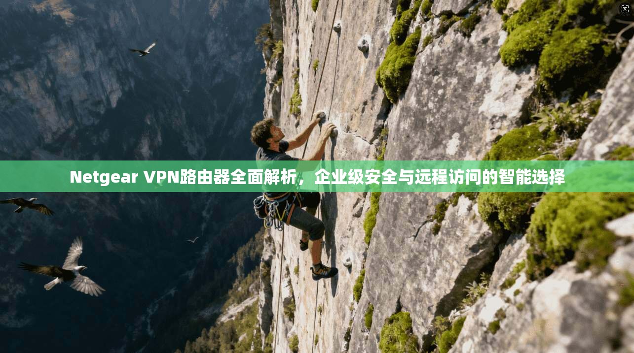 Netgear VPN路由器全面解析，企业级安全与远程访问的智能选择