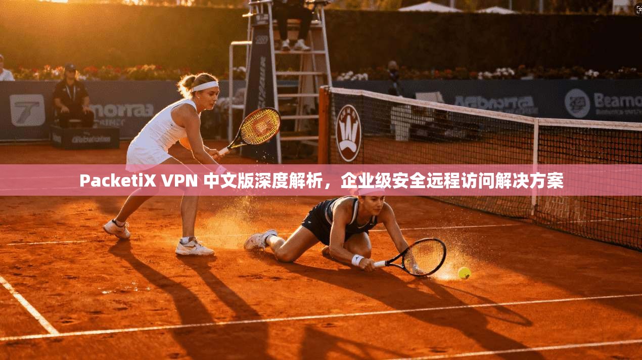 PacketiX VPN 中文版深度解析，企业级安全远程访问解决方案