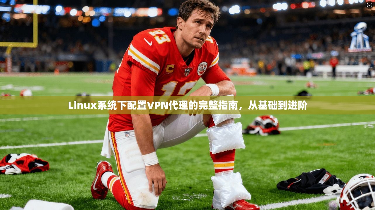 Linux系统下配置VPN代理的完整指南，从基础到进阶