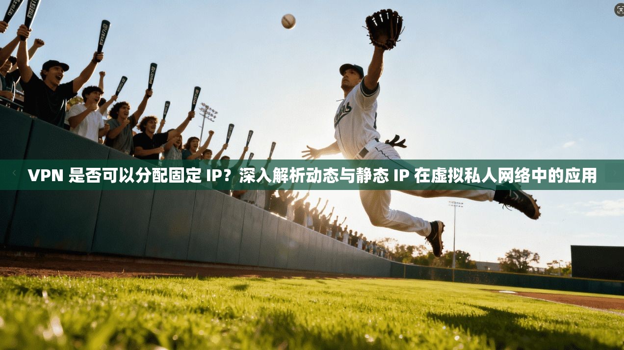 VPN 是否可以分配固定 IP？深入解析动态与静态 IP 在虚拟私人网络中的应用