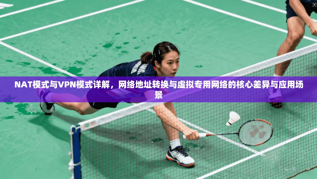NAT模式与VPN模式详解，网络地址转换与虚拟专用网络的核心差异与应用场景