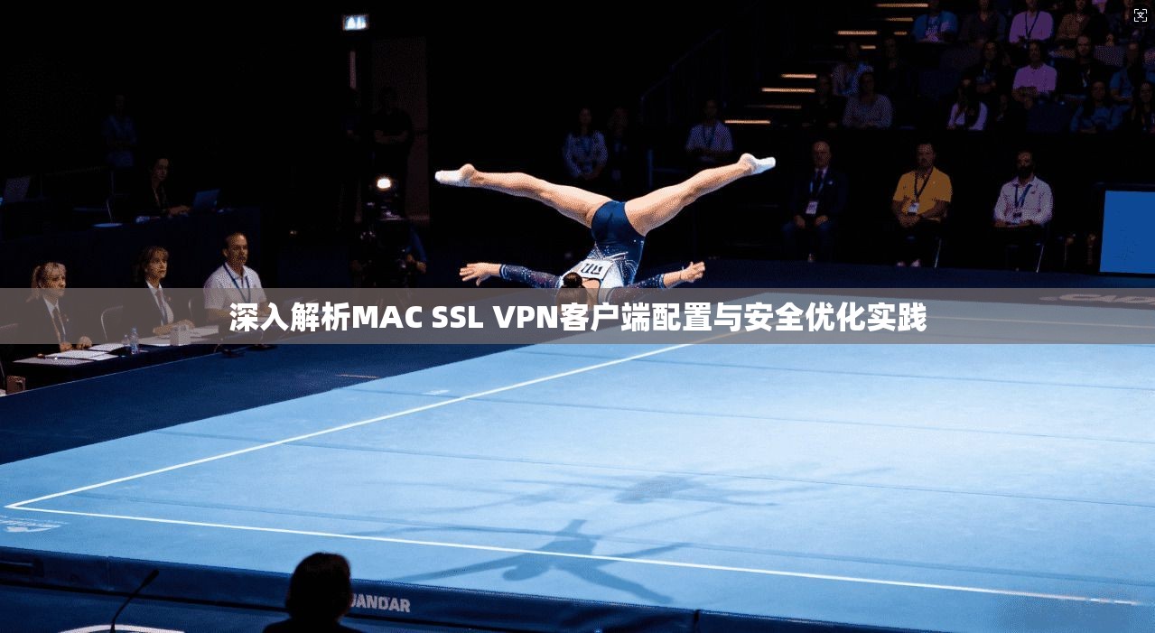 深入解析MAC SSL VPN客户端配置与安全优化实践