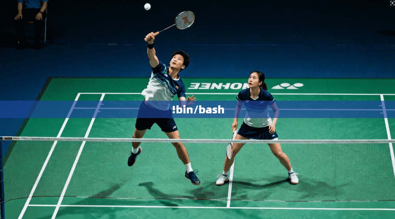!bin/bash