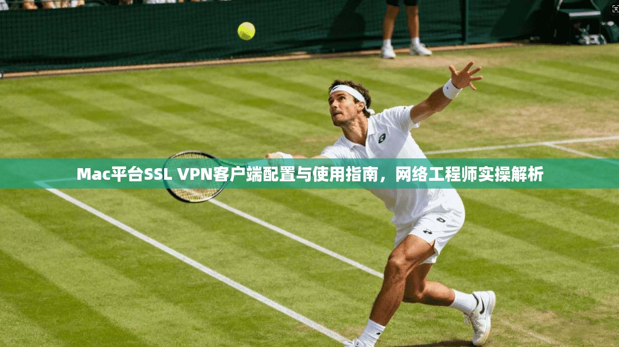 Mac平台SSL VPN客户端配置与使用指南,网络工程师实操解析 Mac平台SSL VPN客户端配置与使用指南,网络工程师实操解析