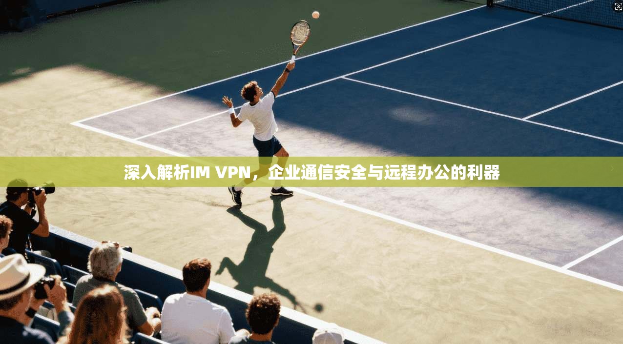 深入解析IM VPN，企业通信安全与远程办公的利器