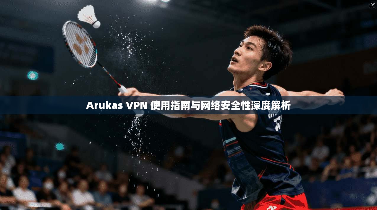 Arukas VPN 使用指南与网络安全性深度解析