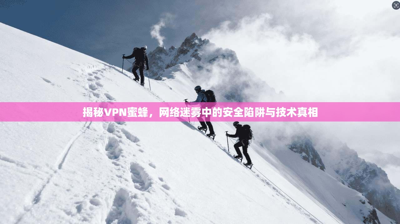 揭秘VPN蜜蜂，网络迷雾中的安全陷阱与技术真相