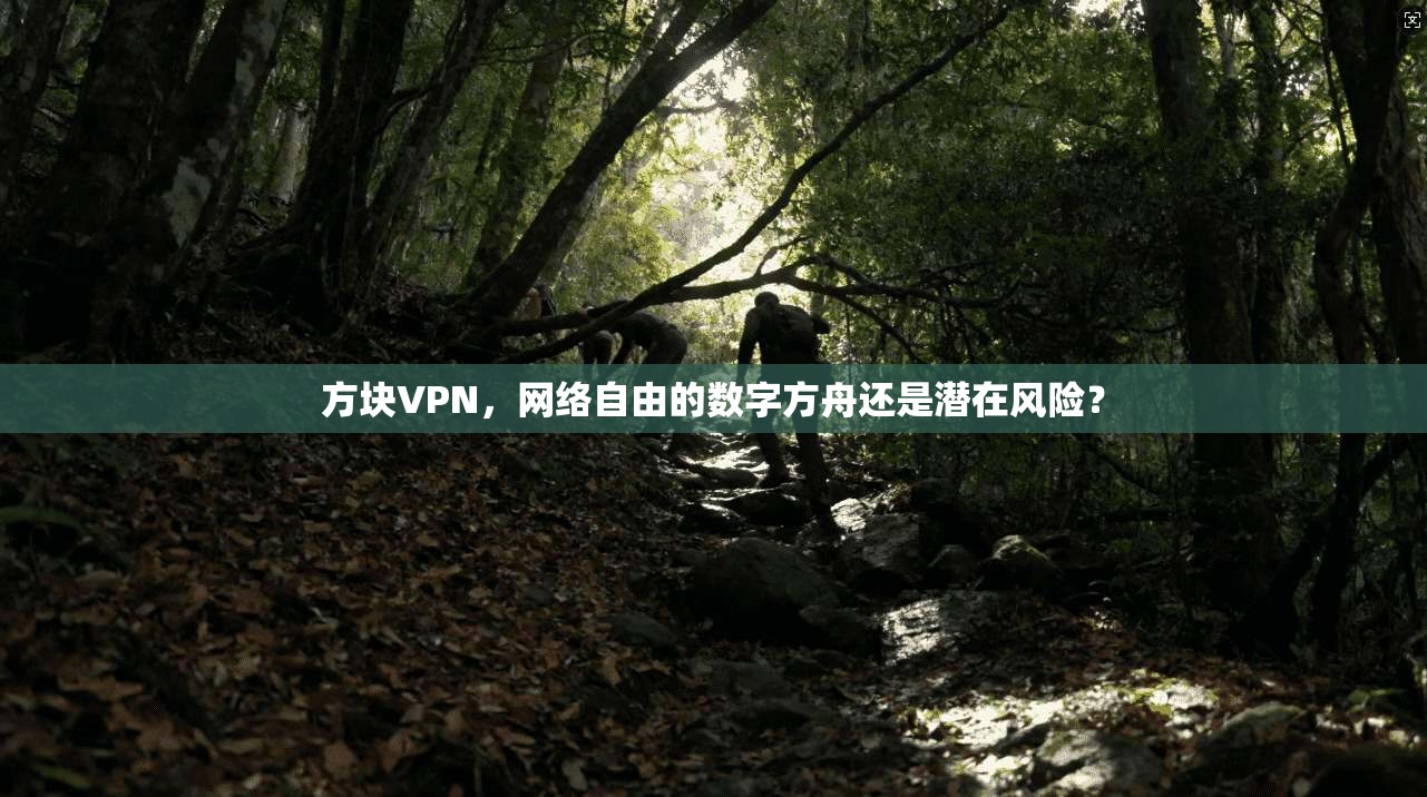 方块VPN，网络自由的数字方舟还是潜在风险？