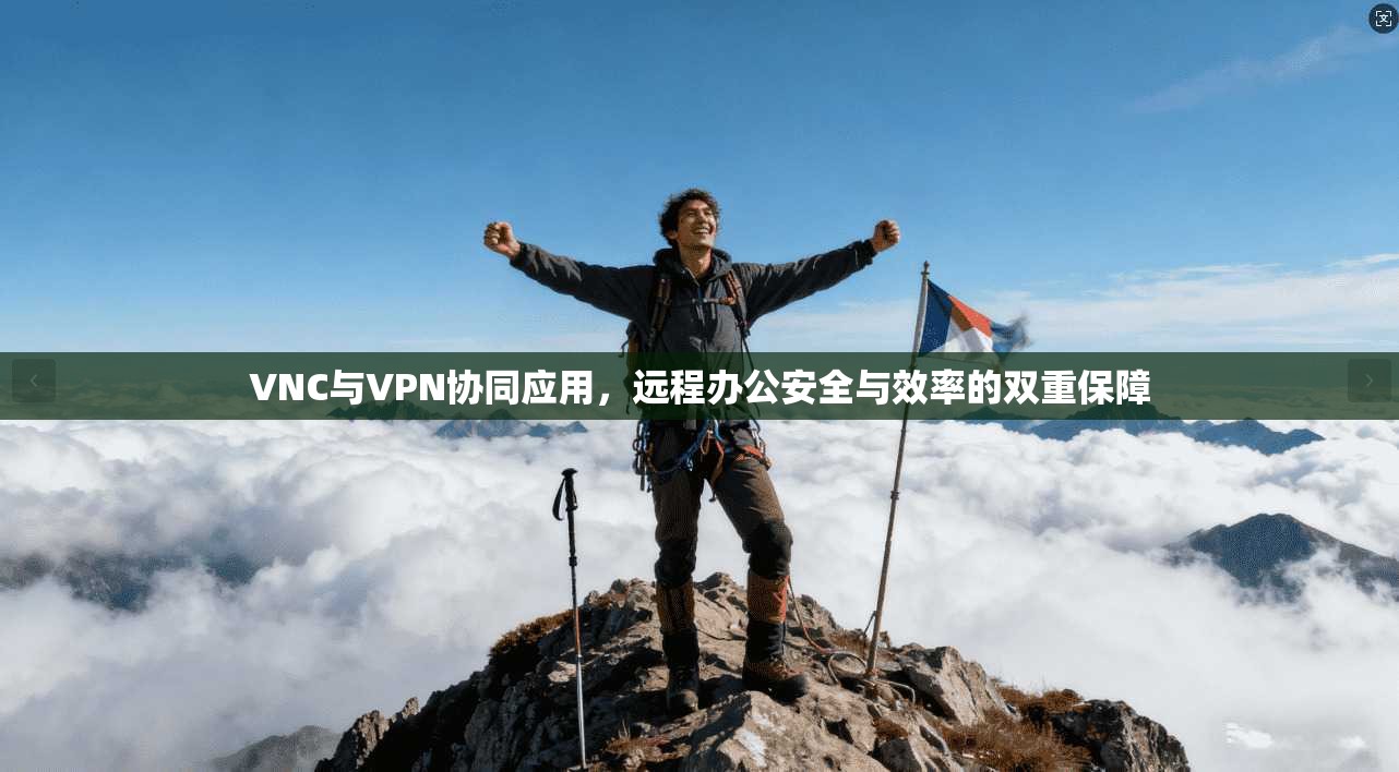 VNC与VPN协同应用，远程办公安全与效率的双重保障