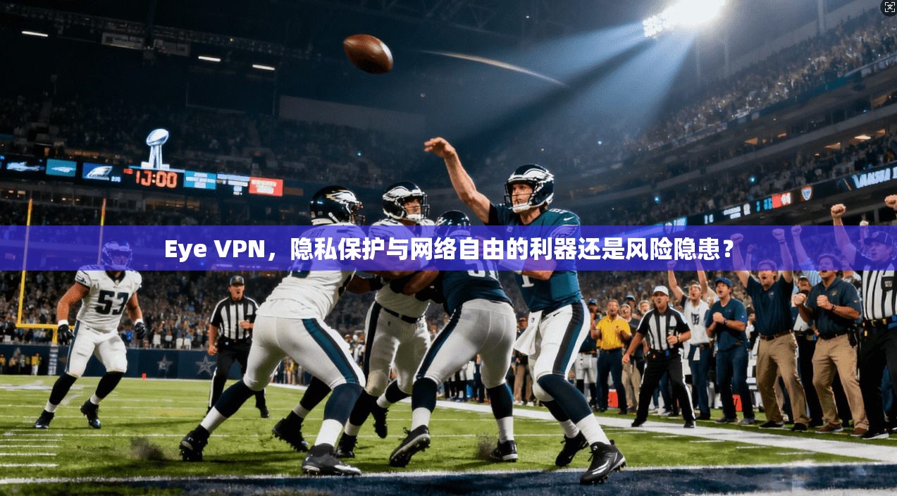 Eye VPN，隐私保护与网络自由的利器还是风险隐患？