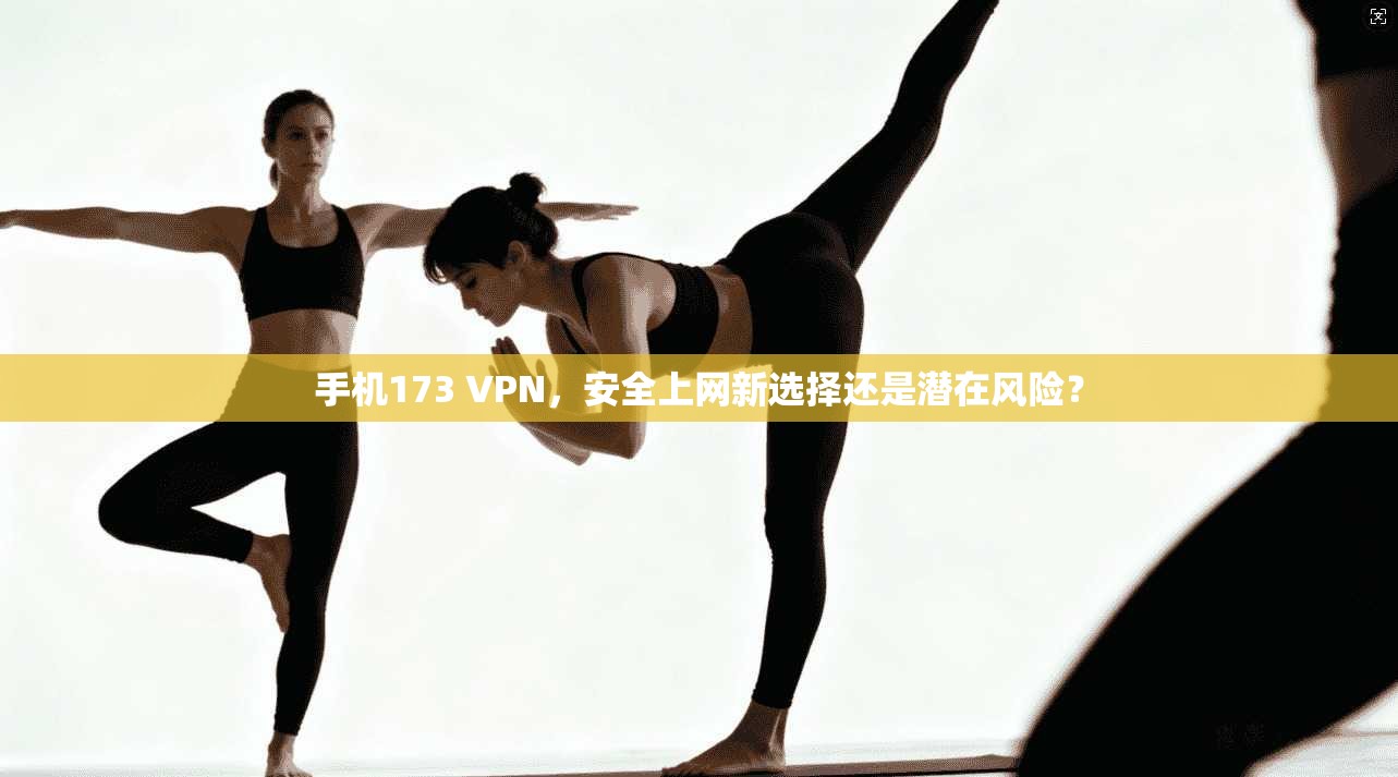手机173 VPN，安全上网新选择还是潜在风险？