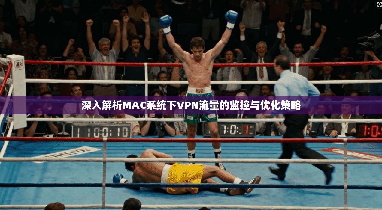 深入解析MAC系统下VPN流量的监控与优化策略