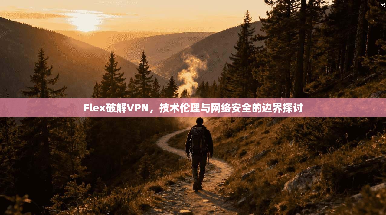 Flex破解VPN，技术伦理与网络安全的边界探讨