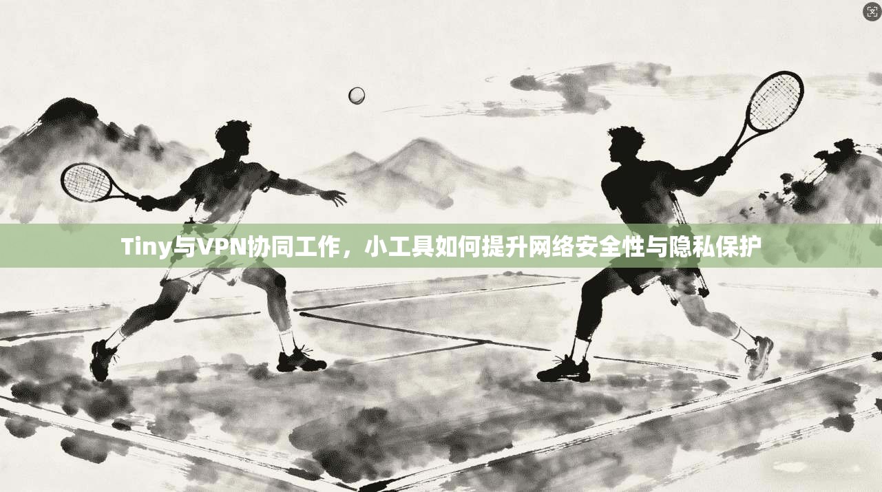 Tiny与VPN协同工作,小工具如何提升网络安全性与隐私保护 Tiny与VPN协同工作,小工具如何提升网络安全性与隐私保护