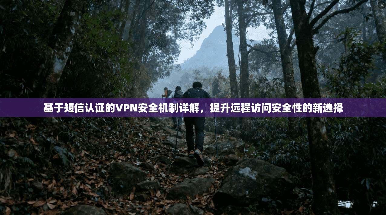 基于短信认证的VPN安全机制详解，提升远程访问安全性的新选择