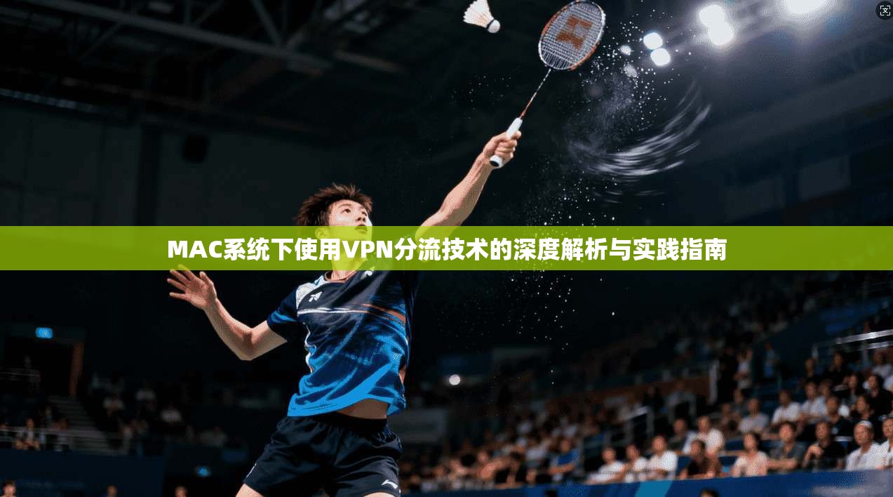 MAC系统下使用VPN分流技术的深度解析与实践指南