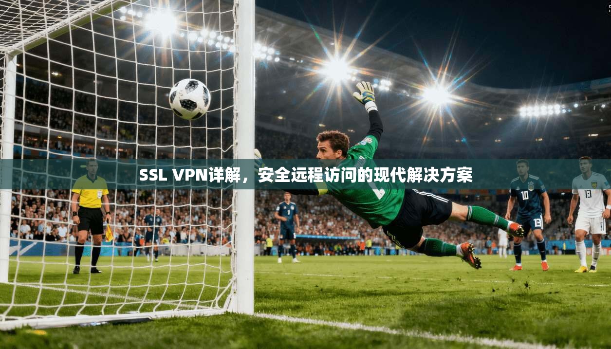 SSL VPN详解，安全远程访问的现代解决方案