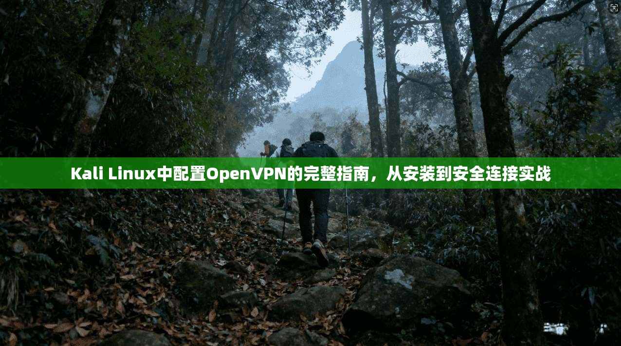 Kali Linux中配置OpenVPN的完整指南，从安装到安全连接实战